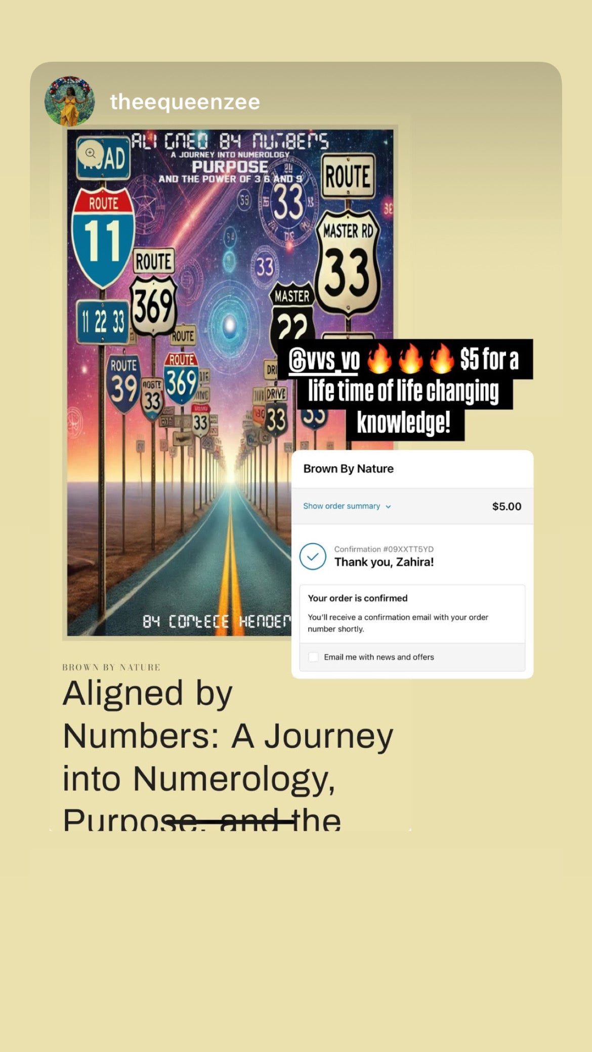 Aligned by Numbers: A Journey into Numerology, Purpose, and the Power of 3, 6, and 9